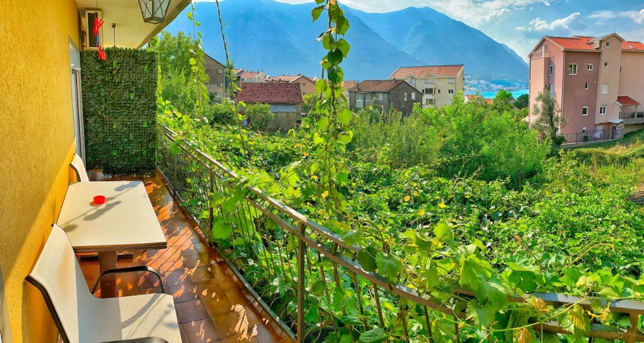 Apartments Jovana Kotor Bagian luar foto
